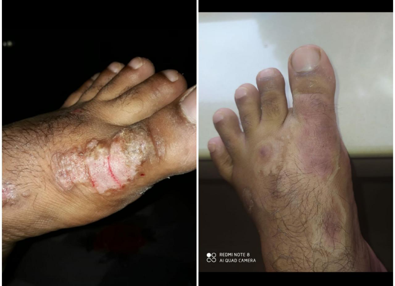 Balkees Wellness Coach